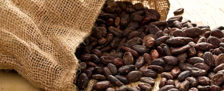 Análisis de la cotización del cacao
