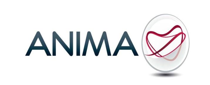 Analisi prima di comprare o vendere azioni Anima Holding