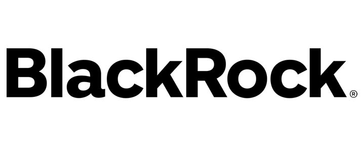 Analysis of BlackRock share price
